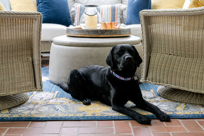 MegSpellman-Home_JackieAverillPhotography-7608
