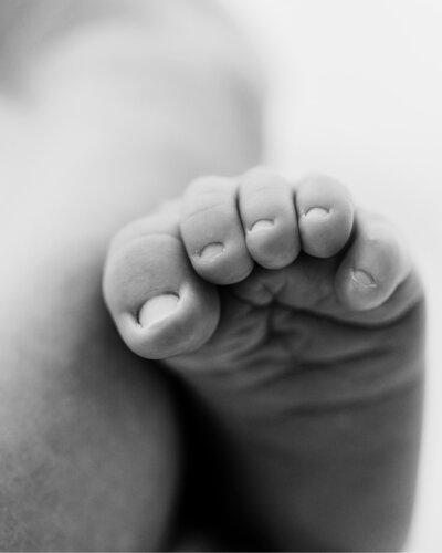 a black and white close up image of a newborn foot