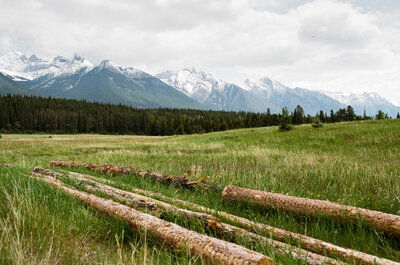 a field of grass with mountains rising behind in Banff National Park