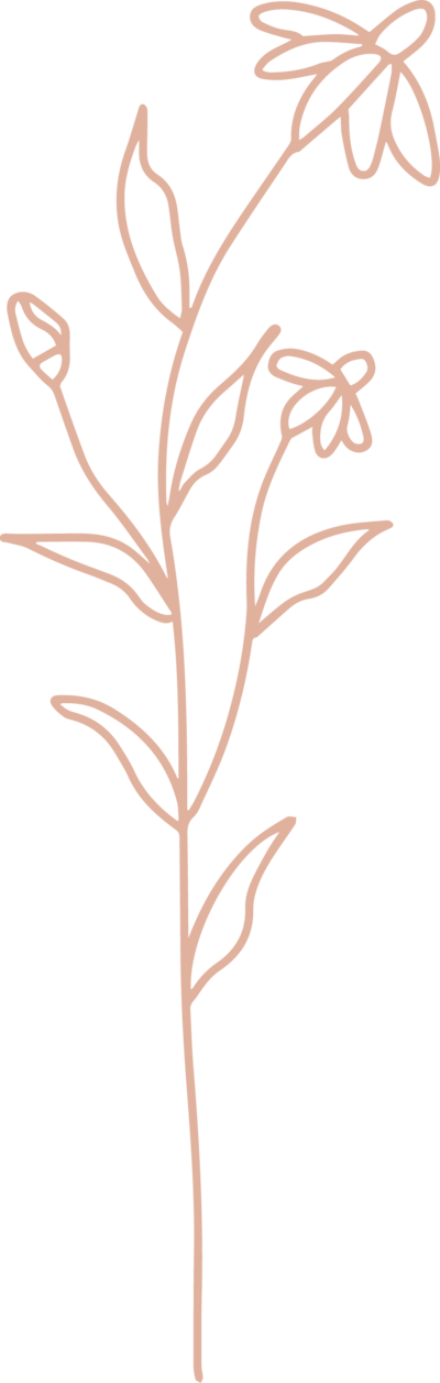 Pink illustration of wildflower