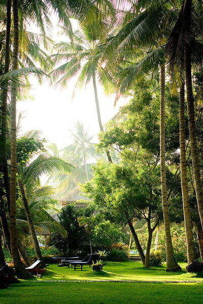 nature