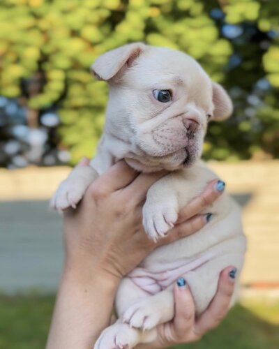 46BAF1A1-CCF2-43AE-8E17-CB243002257A