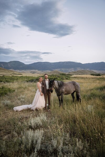 Horse in Western Wyoming Wedding