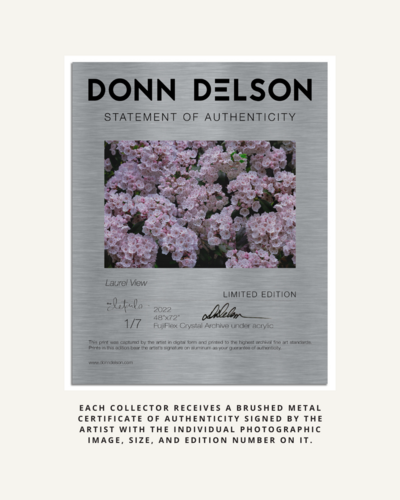 donn delson certificate of authenticity