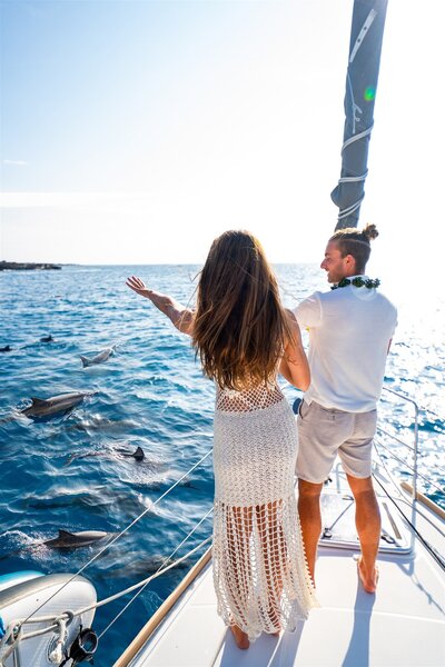 Couple standing on the front of a sailboat in Hawaii pointing excitedly at dolphins swimming beside the boat in clear blue water.