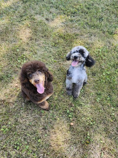 9a703197-ee78-4def-8a0b-16006171d82a