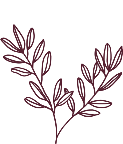 Greenery illustration branding