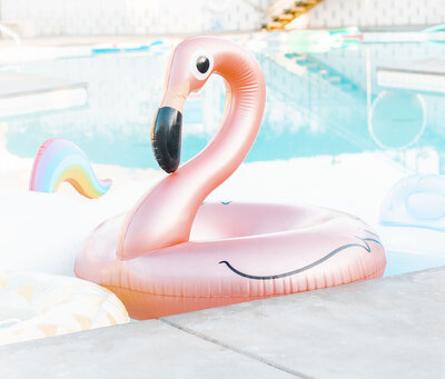 Alyssa-Dawson-Photography_1