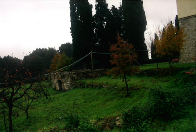 unnamed (21)
