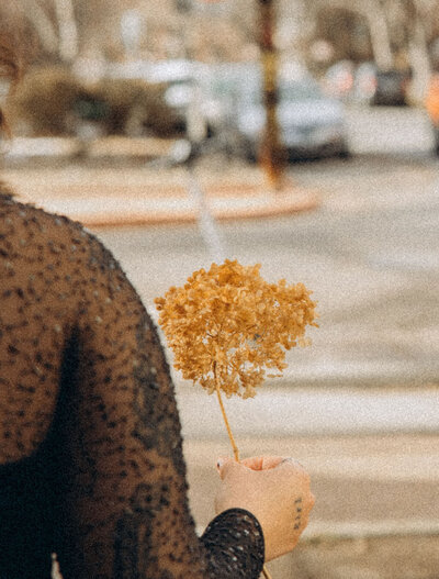 A person holding out a flower.