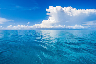 bimini ocean