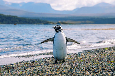 Luxury Travel Experiences
