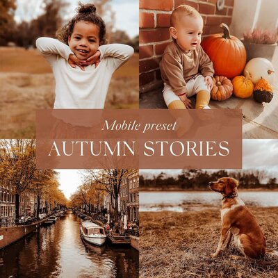 Lightroom brushes voor fotografen