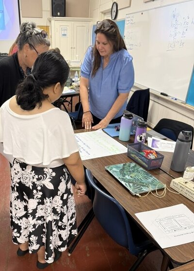 literacy consultant working with teachers and students