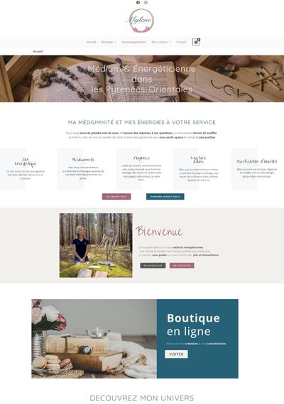 Template showit pour entrepreneur
