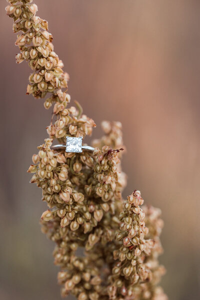 Beautiful engagement ring resting on plant