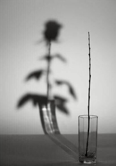 Release the past with our emotional mastery course