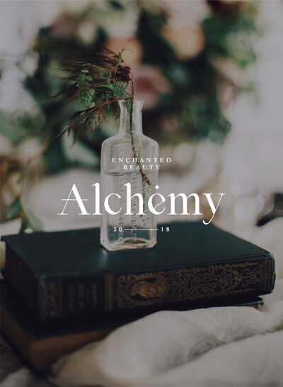Alchemy Portfolio Layout-05
