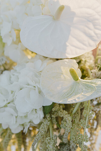 StyledShoot_DanielleMason_0023