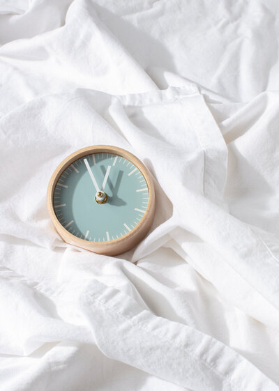 Echinacea flowers in full bloom