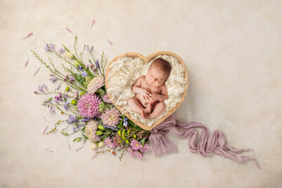 Infant posed for Newborn Portraits in Charleston, SC Newborn Photography Studio.