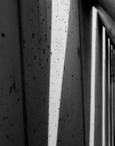 carolina-pimenta-BS4NX6ImmpE-unsplash