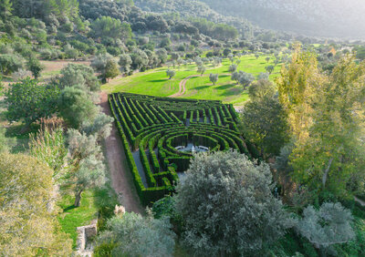 Almond Valley 23