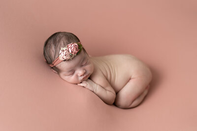 blush posed newborn bum up