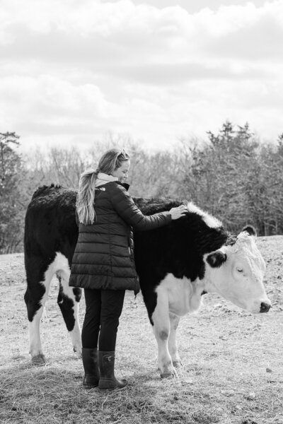 CowCuddles-1