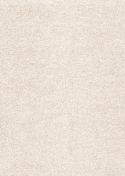 ivory paper texture