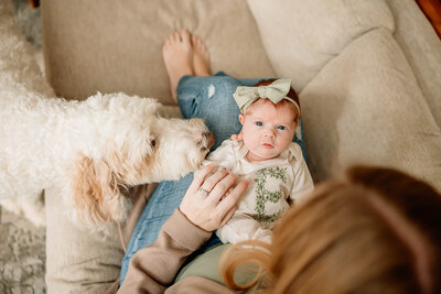 Photo of photographer's dog, Magnolia.