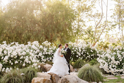 Bride and Groom