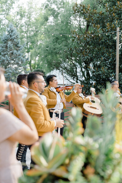 Mariachi band plays music during wedding cocktail hour