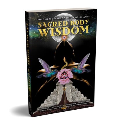 SBW book cover graphic
