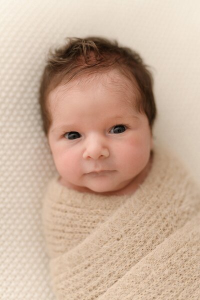 Portland Newborn Photographer