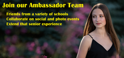 Ambassador program Link buttons