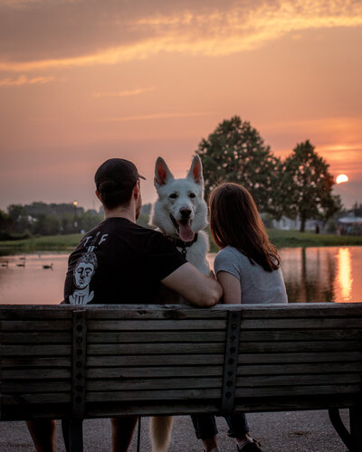 This is me and my dog playing during a lifestyle photography session in Ottawa