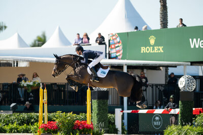 Unbridled MediaAAM_9161