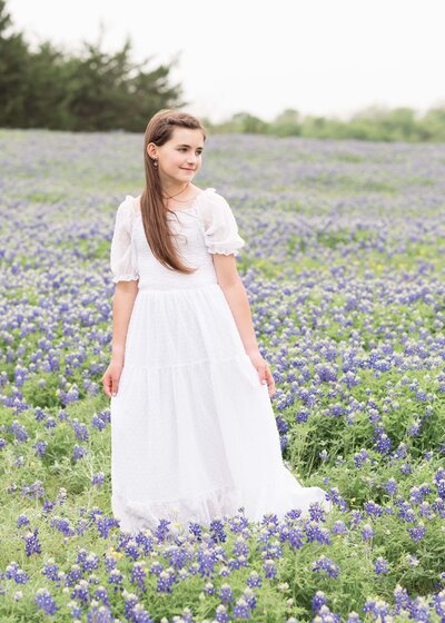 texas bluebonnets