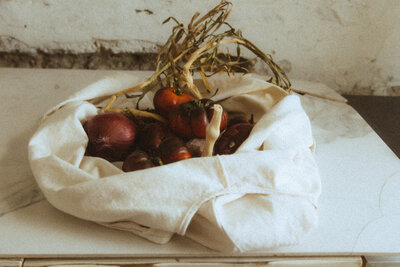 Renzo Leopoldo Showit Template By Salt Thread_169