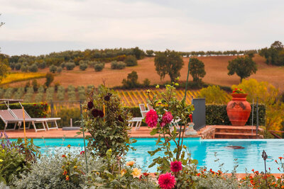 A picturesque scene of a vibrant flower garden in the foreground, a sparkling blue swimming pool, and a scenic vineyard in the background evokes the allure of Caribbean getaways. The softly overcast sky creates a serene and inviting atmosphere, perfect for personalized travel planning.