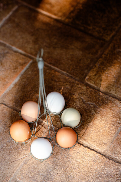 Farm fresh eggs in speckled sunlight.