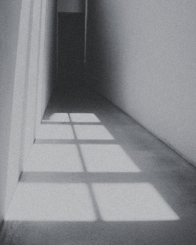 Sunlight casts harsh shadows down a narrow hallway, symbolizing the volatility and unease explored in the “They Can’t Control Their Anger” Learning Path from CPTSD Medicine.
