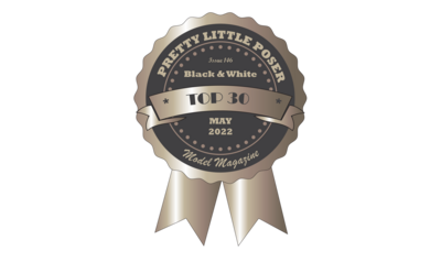 Award badge from Pretty Little Poser for being in the top 30