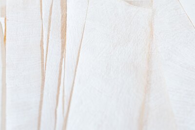 Torn Beige Fabric Picture