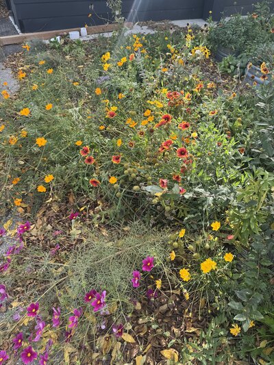 Detail orientated fine dining restaurant in Niagara with stunning plates 