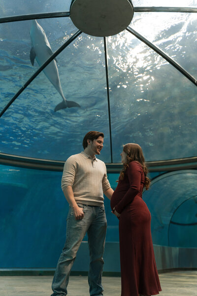maternity couple holding hands at Indianapolis zoo dolphin dome, dolphin swims above them