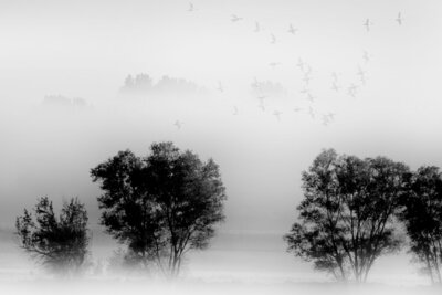 Photo of fine art nature scene by Craig Peterman.