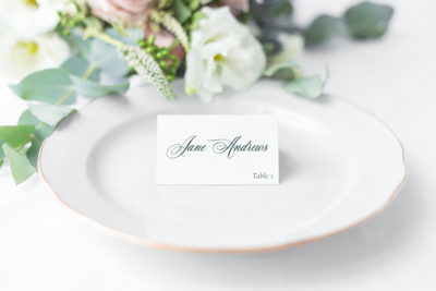 wedding and special event place cards