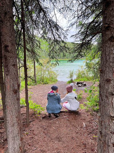 travel planning services in the forest